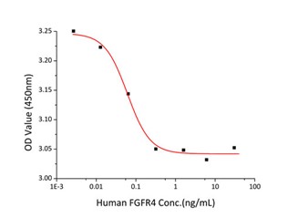 GX00239 Human FGFR4 At