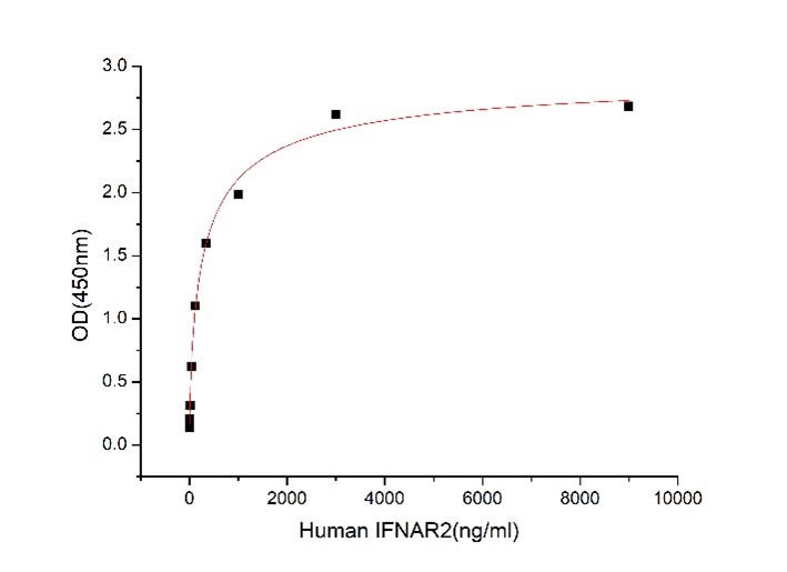 GX00330 Human IFNAR2 At