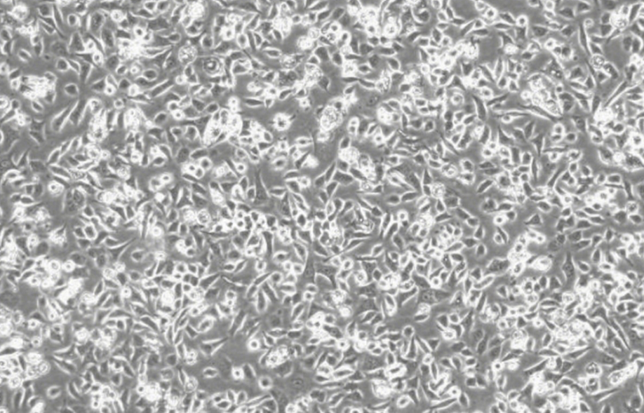 1752126651256