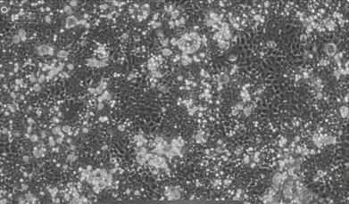 1752127665147